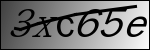 captcha 이미지